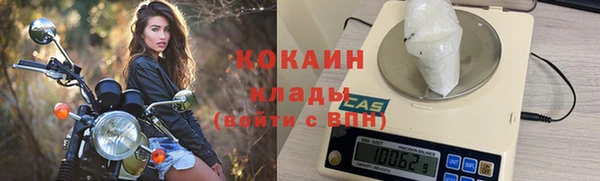 ПСИЛОЦИБИНОВЫЕ ГРИБЫ Верхний Тагил
