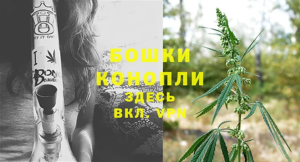 ПСИЛОЦИБИНОВЫЕ ГРИБЫ Верхний Тагил