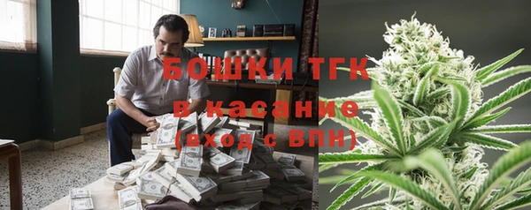 ПСИЛОЦИБИНОВЫЕ ГРИБЫ Верхний Тагил