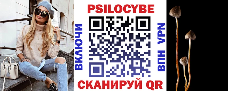 Псилоцибиновые грибы мухоморы  гидра как зайти  Плавск  площадка формула  купить наркотики сайты 